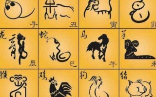 右生肖是什么？十二生肖右肖是指哪个生肖