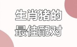 不理你是什么生肖？属猪男不搭理你的原因