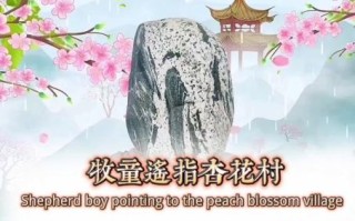 秀才元帅找杏花是什么生肖？秀才元帅找杏花正确答案