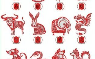 五号是什么生肖？到底是五是什么生肖