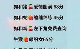 2026年生肖狗爱情运如何？节日期间能否邂逅正缘或升温恋情？