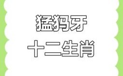 十二生肖牙齿最多的动物是什么？牙齿最多的动物第一名