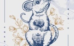 猜南猜北是什么生肖？猜南猜北不能中打数字