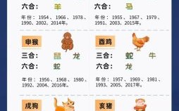 一点三刻才回家是什么生肖？一十一三隐玄机准确生肖