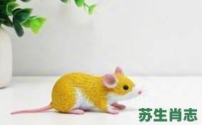 左右有爪牙是什么生肖？十二生肖有爪牙的动物