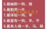 五八上下是什么生肖？五八找最佳答案一肖