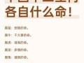 2026年十二生肖运势详解：属鼠、牛、虎等各生肖运程如何？哪些生肖在2026年将迎来转折机遇？