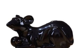 黑色是什么生肖？黑色的打一准确生肖