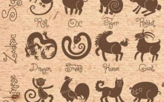 空茫生肖是什么？空芒生肖是指哪一肖