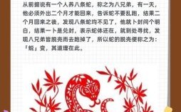 猪狗的朋友是什么生肖？猪狗朋友打一最佳生肖