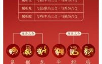 绵绣千秋是什么生肖？子子孙孙是什么生肖