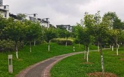 三天打鱼是什么生肖？三天打鱼两天网猜生肖