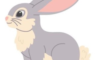 来回走动是什么生肖？来回走动打一准确生肖