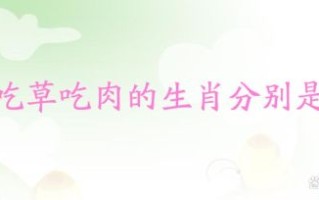 吃肉的生肖是什么生肖？吃肉生肖最佳答案