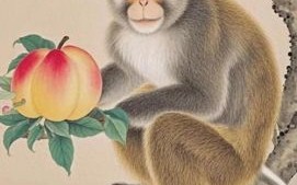 猴生肖是什么命？生肖猴的五行属什么