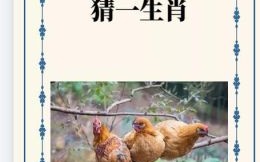 投猜是什么生肖？投字能解什么生肖