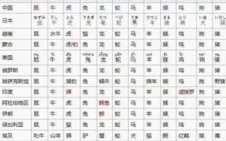 二六未归是什么生肖？二六是何肖什么数字