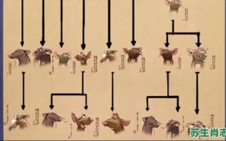 身在江湖是什么生肖？江湖打一正确生肖