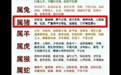 一呼百应是什么生肖？一呼百应打一准确动物