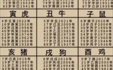 55岁是什么生肖？5岁是属什么生肖