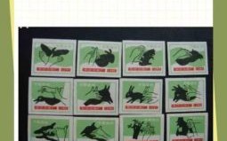 直木必伐是什么生肖？再实之木根最正确生肖