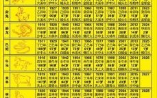 此时是什么生肖？此时打一个准确数字