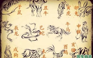 老祖宗是什么生肖？祖宗打一个最佳生肖