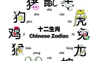 以字是什么生肖？以字打一准确生肖