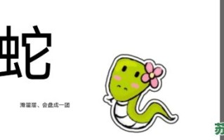 蹦蹦跳跳的动物是什么生肖？蹦蹦跳跳最正确生肖