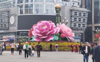 三朵芙蓉四八枝是什么生肖？三朵芙蓉四八枝打一数字