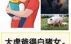 爸爸是什么生肖？爸爸打一个正确生肖