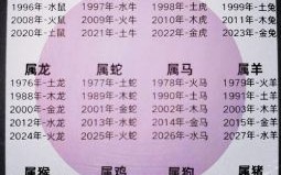 26属相是什么生肖？今年26岁属啥的