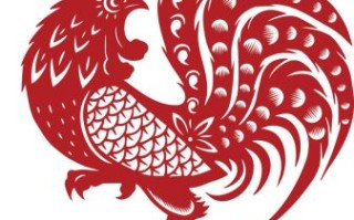 鸡飞狗跳是什么生肖？鸡飞狗跳打一个准确动物