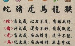 九十过后猜十一是什么生肖？九十过后猜十一求解释