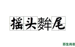 摇头又摆尾是什么生肖？摇头准确答案生肖