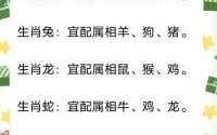 蛇鼠相战是什么生肖？鼠蛇炸两相欺打一生肖