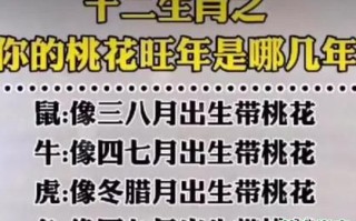 菊花是什么生肖？十二生肖花位对照表