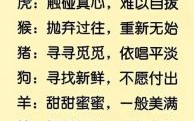 逍遥法外是什么生肖？逍遥法外的最佳一肖