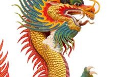 凶恶的动物是什么生肖？穷凶极恶最佳答案一肖