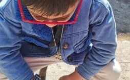 肝是什么生肖？肝代表什么数字