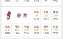 16岁是什么生肖？2025年16岁是什么生肖