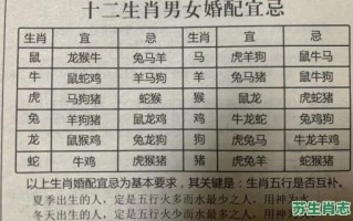 买七夕之夜是什么生肖？七夕之夜最佳答案一肖