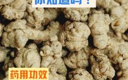 三七 是什么生肖？田七别名叫什么打一肖