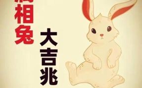 兔年后面是什么生肖？什么生肖看不起属兔人