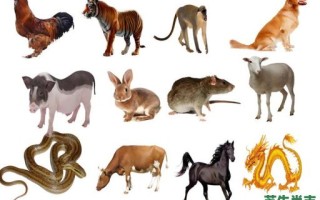 畜禽是什么生肖？圈养畜牧是什么生肖