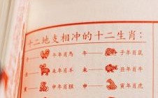 农历日的生肖是什么生肖？一个月每日对应的生肖