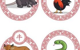 土头土脑是什么生肖？土头土脑打一数字