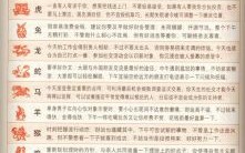 将生肖是什么？将代表哪个生肖
