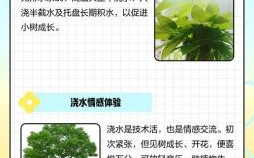 女孩种小树浇水是什么生肖？向河里泼水是什么生肖