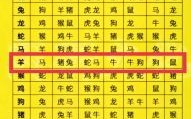2017年38是什么生肖？一年四季穿棉衣是什么生肖